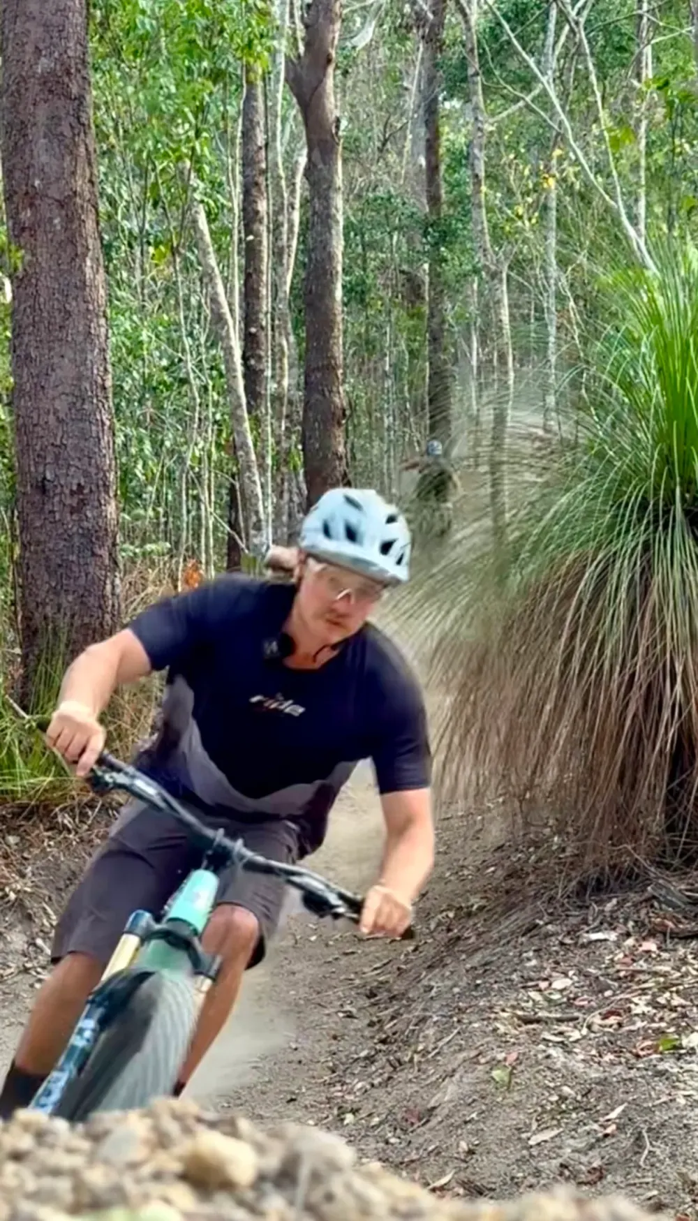 Rainforest tech